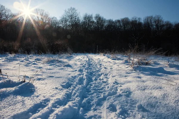 Sentiero innevato con bosco con travi a vista e bagliore — Foto Stock