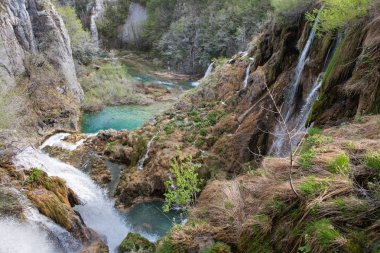 Şelaleler Plitvice Milli Parkı, Hırvatistan üzerinden sürü