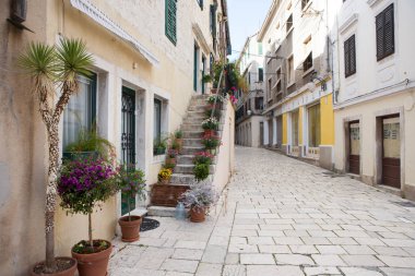 Sibenik, Hırvatistan - 16 Nisan 2017: Saksıyı sokak detay