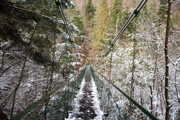 Ponte di corda estremo sul fiume Hornad nel paradiso slovacco Nationa — Foto Stock