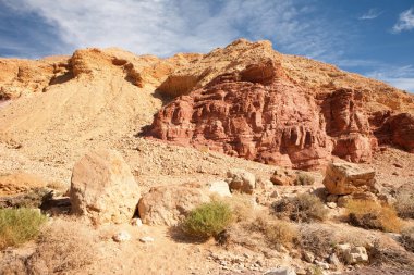 Red Canyon turist destinati, seyrek bitki örtüsü ile manzara