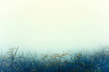 Sisli bir manzaranın sanatsal klasik fotoğrafı. 