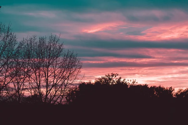 Sunset over the forest — Stock Photo, Image