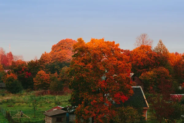 Automne dans le village — Photo