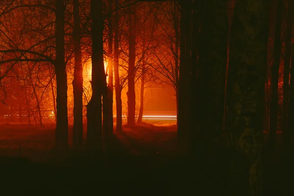 Гломійський парк в тумані вночі — стокове фото