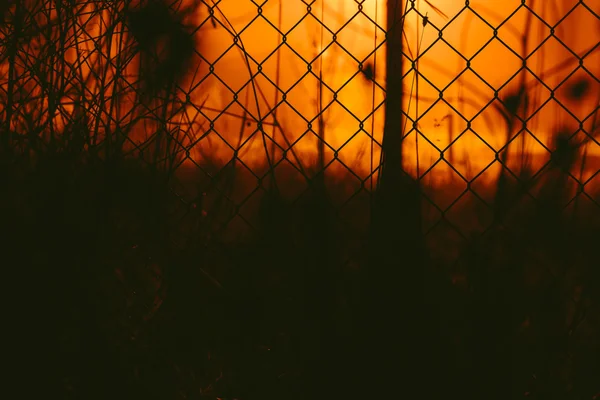 Tajemné místo se pletivo plotu — Stock fotografie