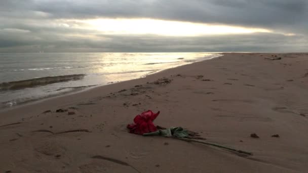 Aan de oever van het strand van de stad in de avond — Stockvideo