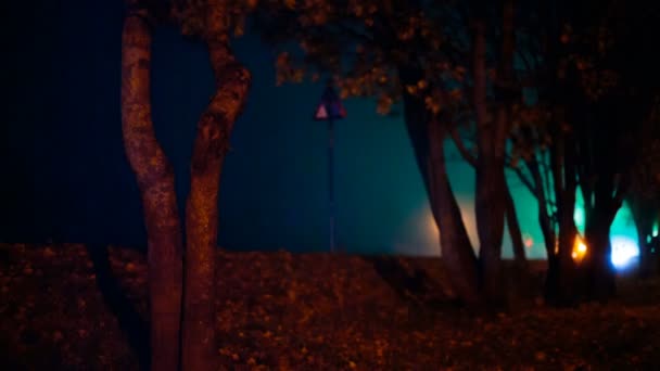 Dunkle Nacht auf einer einsamen Straße — Stockvideo