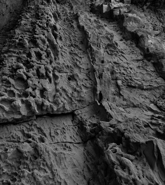 Rocks close up on the shore