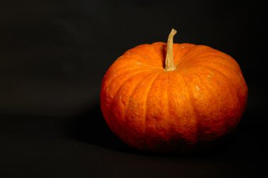 Büyük turuncu balkabağı