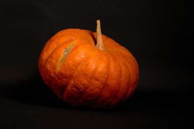 Büyük turuncu balkabağı