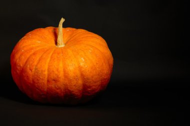 Büyük turuncu balkabağı