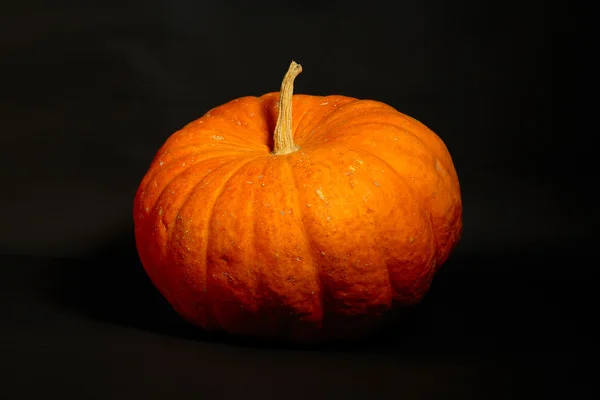 Grande zucca arancione — Foto Stock