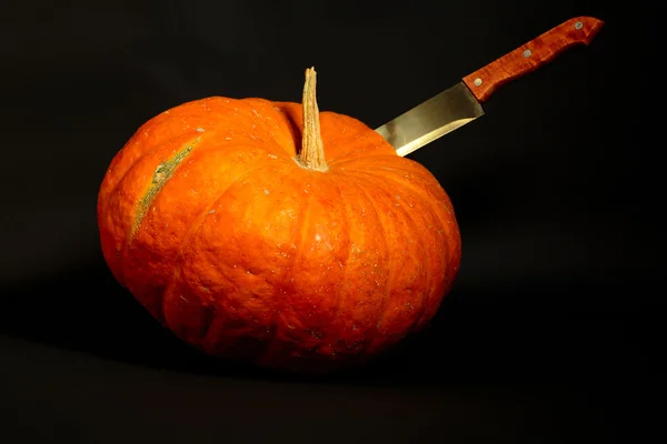 Abóbora laranja grande — Fotografia de Stock