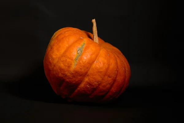 Calabaza naranja grande — Foto de Stock