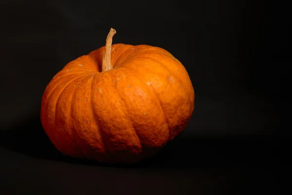 Abóbora laranja grande — Fotografia de Stock