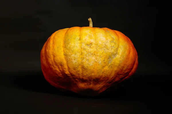 Calabaza naranja grande — Foto de Stock