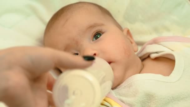 Νεογέννητο μωράκι τρώει γάλα από το μπουκάλι — Αρχείο Βίντεο