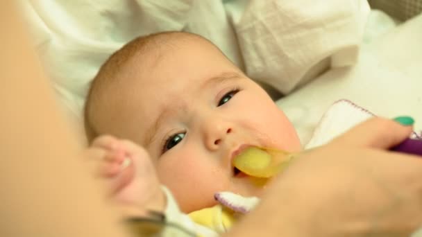 Mamma matas med en sked sin söta nyfödda baby puré av zucchini — Stockvideo