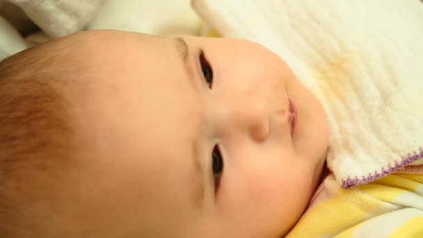 MUM ταΐζει με το κουτάλι το χαριτωμένο μωρό νεογέννητο πουρέ από κολοκυθάκια — Αρχείο Βίντεο