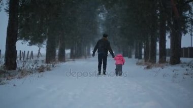 Baba ve onun küçük kızı yürüyen birlikte tutan eller parkta kış akşamları