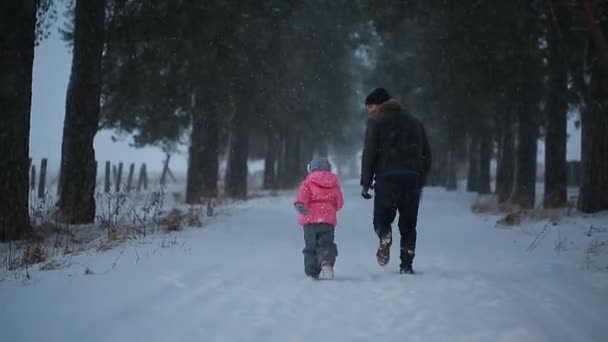 Pappa med sin dotter ha roligt spelar i parken på vintern — Stockvideo