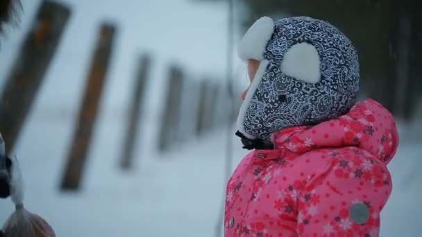 Förbryllad liten flicka nära hennes far på vintern — Stockvideo