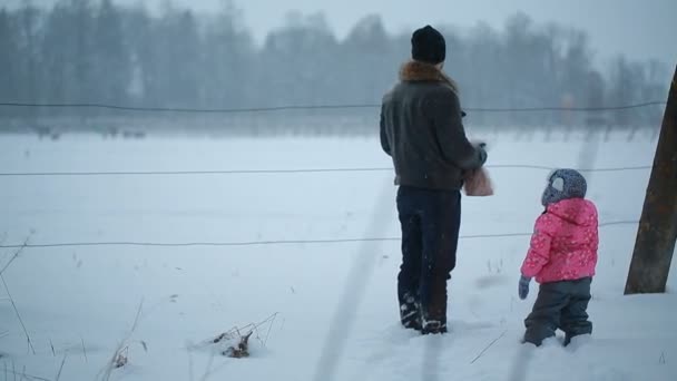 Padre e hija están cerca de los establos en invierno — Vídeos de Stock