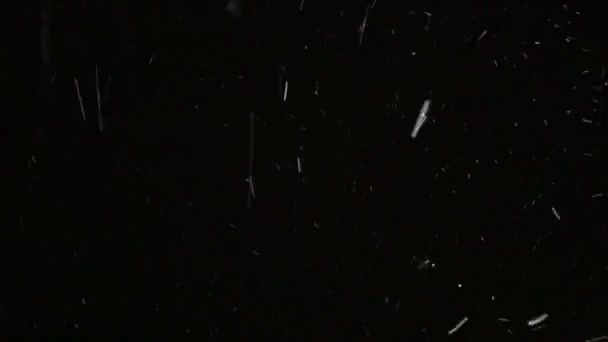 Nevando por la noche. Los copos de nieve blancos brillantes giran sobre un fondo negro — Vídeos de Stock