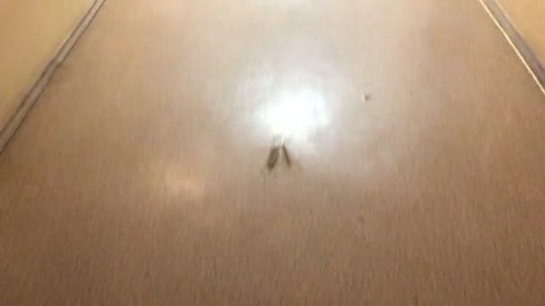 passer par le long couloir .