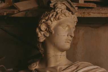 Apollo Belvedere Başkanı alçı