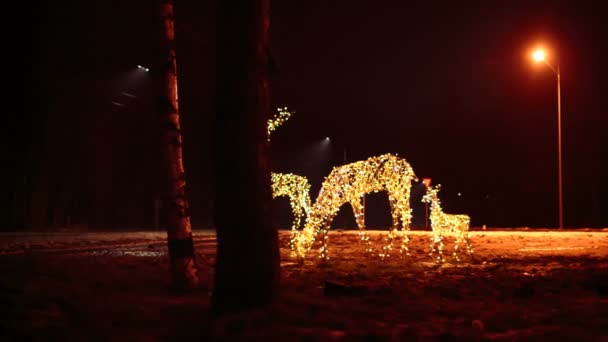 Famiglia di cervi luminose illuminazioni natalizie — Video Stock