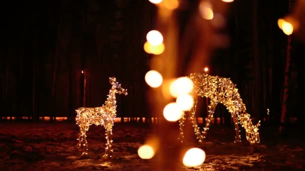 Famille de cerfs illuminations de Noël lumineuses — Video