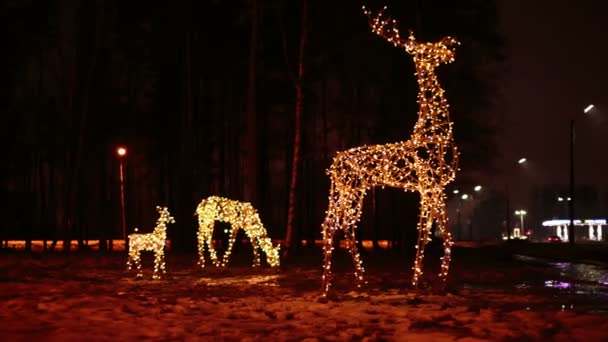 Familia de ciervos brillantes iluminaciones navideñas — Vídeos de Stock