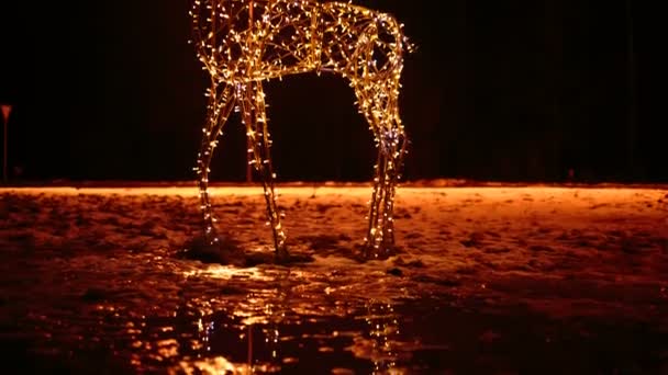 Олени яркие рождественские иллюминации — стоковое видео