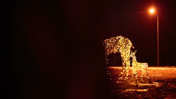 Семья оленей яркие рождественские огни — стоковое видео
