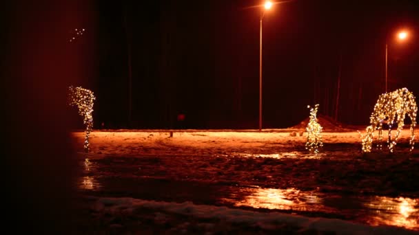 Familie van herten heldere kerst verlichtingen — Stockvideo