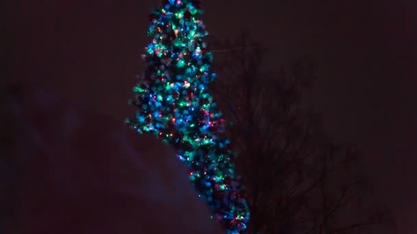 Χριστουγεννιάτικο δέντρο τη νύχτα — Αρχείο Βίντεο