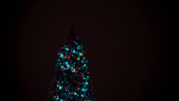 Χριστουγεννιάτικο δέντρο τη νύχτα — Αρχείο Βίντεο