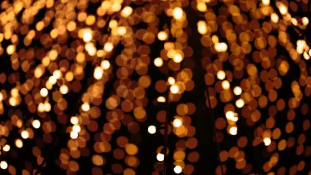 Gele Kerstverlichting — Stockvideo