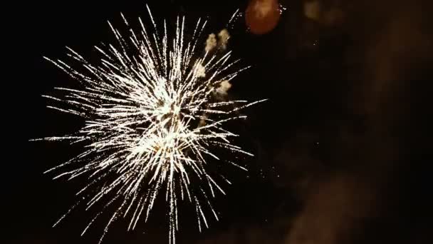 Krachtige vuurwerk in de nachtelijke hemel — Stockvideo