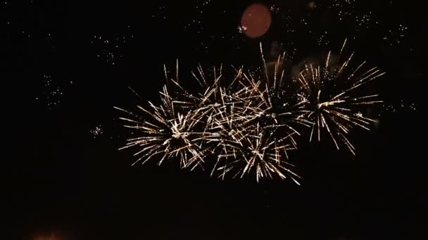 Poderosos fuegos artificiales en el cielo nocturno — Vídeo de stock