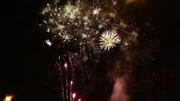 Krachtige vuurwerk in de nachtelijke hemel — Stockvideo