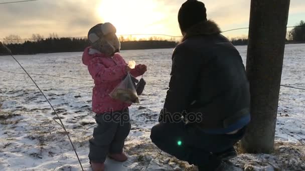 Padre e hija al atardecer en invierno en cámara lenta — Vídeos de Stock