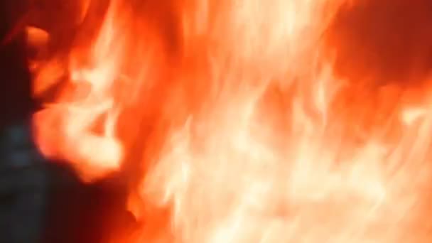 Пожежа полум'я ліс — стокове відео