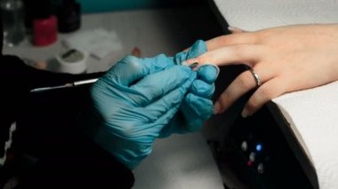 İşleme çivi kütikül yakın çekim