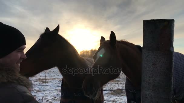 Apa és lánya etetni a lovak kenyérrel — Stock videók