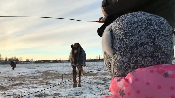 Vader met zijn dochter en het paard in de winter bij zonsondergang — Stockvideo