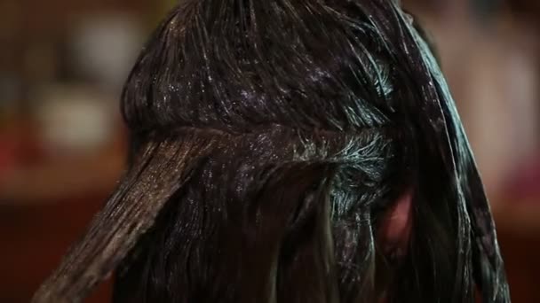 Γυναικείο μαλλιά βαφή. η ζωγραφική του μαλλιά Μελαχρινή κινηματογράφηση σε πρώτο πλάνο — Αρχείο Βίντεο