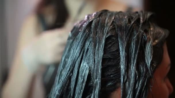 Teinture de cheveux de femmes. peinture de cheveux brune gros plan — Video